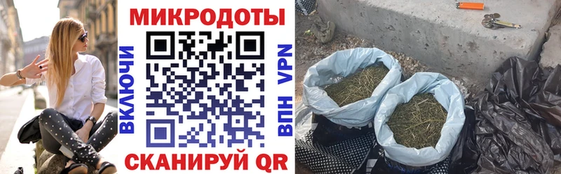 Псилоцибиновые грибы Psilocybine cubensis  где найти   Октябрьск 