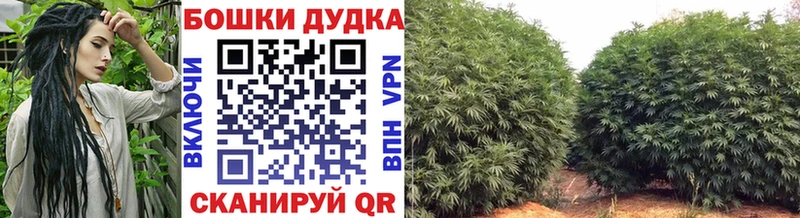 Каннабис AK-47  mega как зайти  Октябрьск 